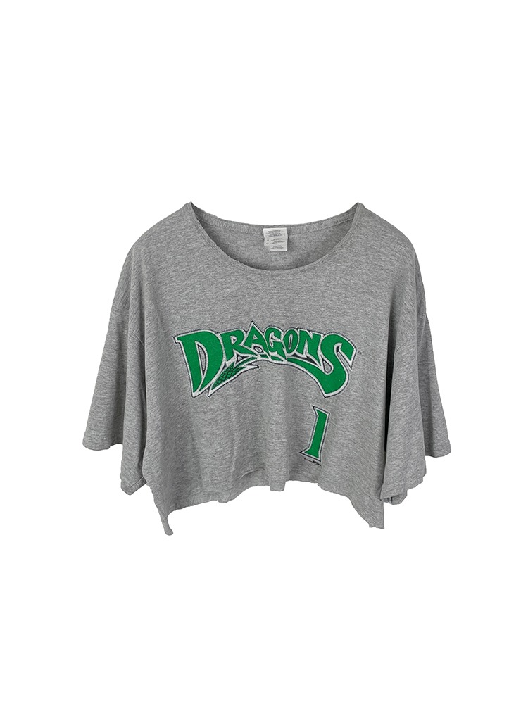 Dragons crop t-shirt